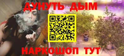 шишки Будённовск