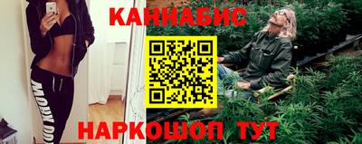 шишки Будённовск