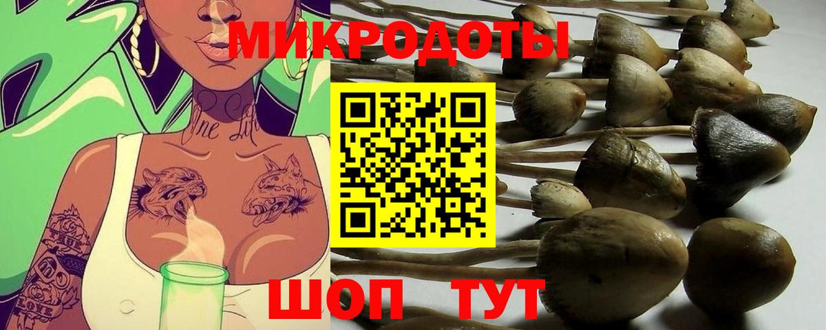 Псилоцибиновые грибы ЛСД  Псилоцибиновые грибы MAGIC MUSHROOMS  Усолье-Сибирское  Вход с VPN 